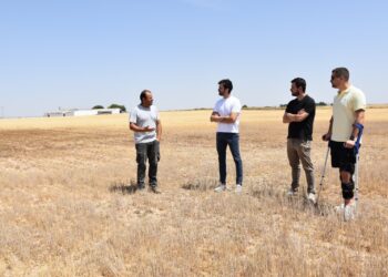 La Diputación de Cuenca transfiere 320.000 euros a 65 cotos de caza para frenar los daños del conejo en el campo