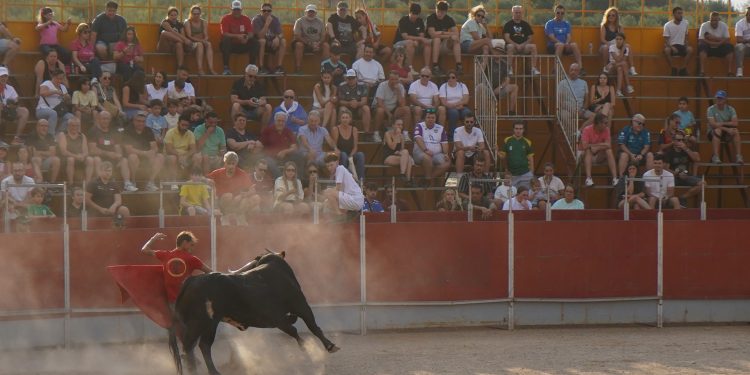 Cabanillas del Campo celebra su primer encierro urbano por Valdemoma sin incidentes médicos