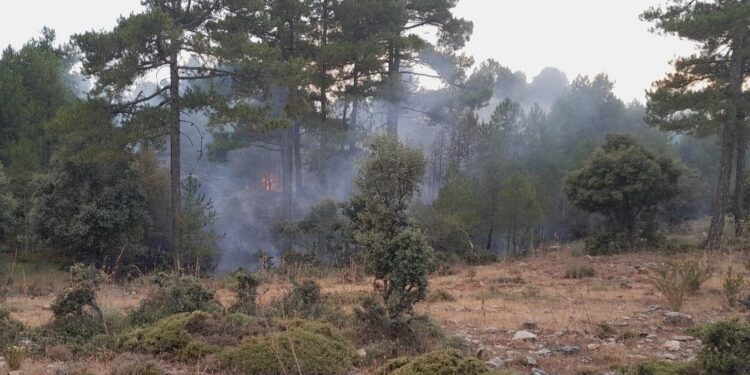Efectivos forestales combaten dos incendios simultáneos en los montes de Uña y Palomera