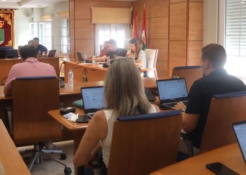 El Ayuntamiento de Cabanillas modifica la ordenanza de parcelas y acerados, adelantando la fecha de desbroce obligatorio