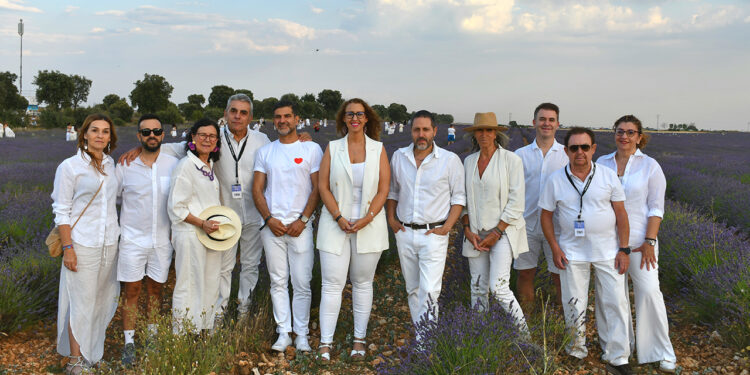 El Festival de la Lavanda en Brihuega cumple 10 años impulsando el empleo rural femenino 1 El Festival de la Lavanda en Brihuega cumple 10 años impulsando el empleo rural femenino