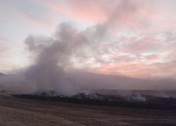 El PP de Guadalajara exige el “envío urgente” de más medios terrestres y aéreos para combatir el incendio de la Sierra Norte y que se valore la activación del Nivel 3