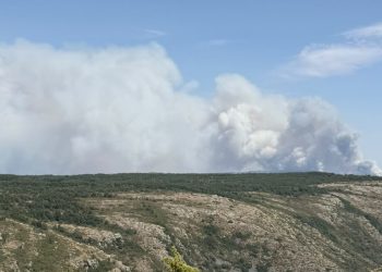 El PP de Guadalajara pide unidad, más medios y todo el apoyo del Estado para extinguir el incendio de la Sierra Norte