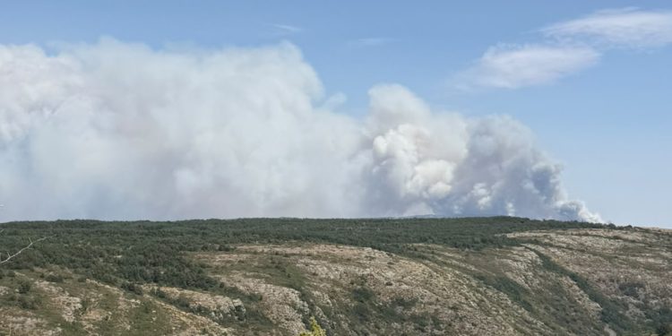 El PP de Guadalajara pide unidad, más medios y todo el apoyo del Estado para extinguir el incendio de la Sierra Norte