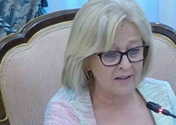 El PP defiende en el Pleno de la Diputación de Guadalajara reclamar al Gobierno de España un refuerzo urgente de la Guardia Civil en el medio rural