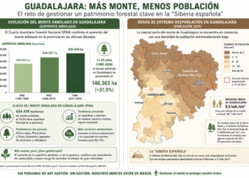 El abandono de los montes en Guadalajara agrava el riesgo de grandes incendios tras la tragedia de Almería