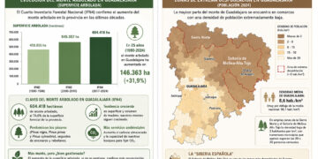 El abandono de los montes en Guadalajara agrava el riesgo de grandes incendios tras la tragedia de Almería