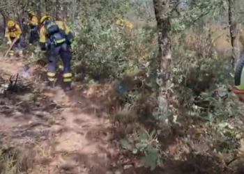 El avance del fuego en Selas obliga a evacuar seis pueblos de Guadalajara tras quemar 1.700 hectáreas
