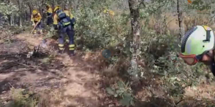 El avance del fuego en Selas obliga a evacuar seis pueblos de Guadalajara tras quemar 1.700 hectáreas El avance del fuego en Selas obliga a evacuar seis pueblos de Guadalajara tras quemar 1.700 hectáreas