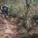 El avance del fuego en Selas obliga a evacuar seis pueblos de Guadalajara tras quemar 1.700 hectáreas