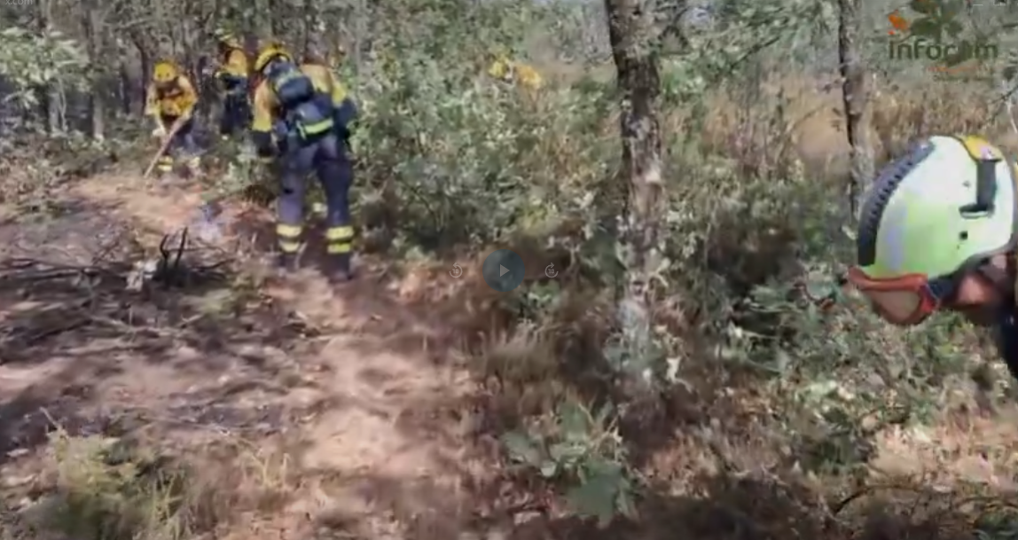 El avance del fuego en Selas obliga a evacuar seis pueblos de Guadalajara tras quemar 1.700 hectáreas 1 El avance del fuego en Selas obliga a evacuar seis pueblos de Guadalajara tras quemar 1.700 hectáreas