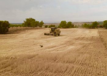 El bloqueo de la cosecha por riesgo de incendios deja seis millones en pérdidas en el campo conquense