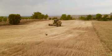 El campo de la Alcarria y la Sierra de Cuenca pide adaptar el riesgo de incendios para salvar la cosecha