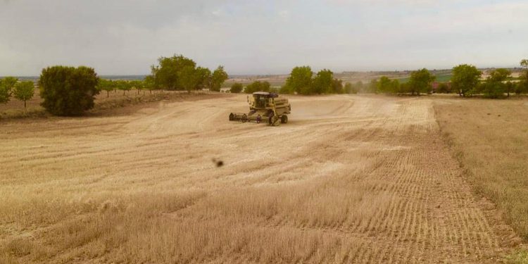 El bloqueo de la cosecha por riesgo de incendios deja seis millones en pérdidas en el campo conquense 1 El bloqueo de la cosecha por riesgo de incendios deja seis millones en pérdidas en el campo conquense