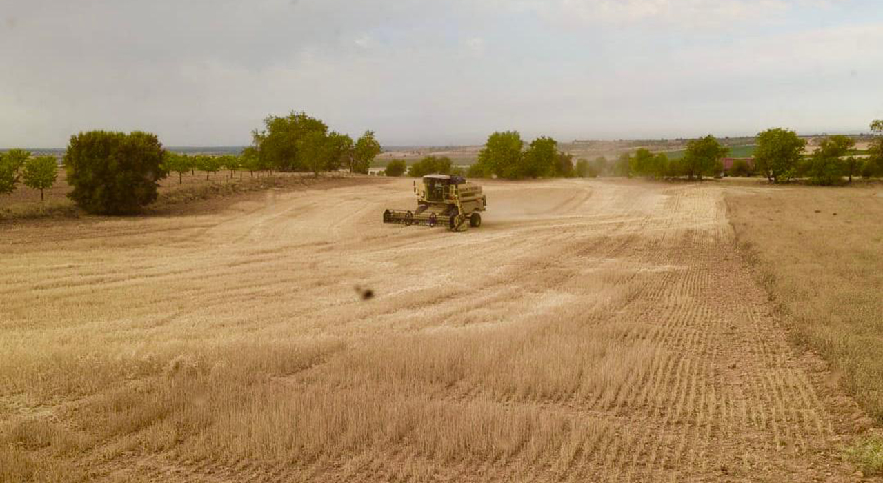 El bloqueo de la cosecha por riesgo de incendios deja seis millones en pérdidas en el campo conquense 2 El bloqueo de la cosecha por riesgo de incendios deja seis millones en pérdidas en el campo conquense