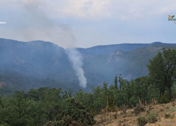 Controlado el incendio forestal de Poveda de la Sierra tras la rápida intervención de los medios aéreos