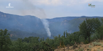 Controlado el incendio forestal de Poveda de la Sierra tras la rápida intervención de los medios aéreos
