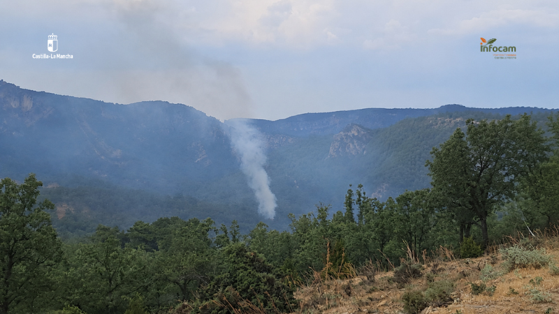 Controlado el incendio forestal de Poveda de la Sierra tras la rápida intervención de los medios aéreos 2 La tarde de este martes, 7 de julio de 2026, exige un esfuerzo continuo a los equipos de extinción en la provincia de Guadalajara debido a dos incendios forestales de matorral detectados en apenas dos horas. La atención principal se centra en el término municipal de Poveda de la Sierra, concretamente en el paraje de la Dehesa de Poveda, donde un fuego detectado a las 15:57 horas mantiene operativos a 15 efectivos y tres medios terrestres. Este siniestro cobró especial relevancia tras requerir un ataque inicial con cuatro medios aéreos y 30 personas, un despliegue que se produjo justo en el momento en que se lograba estabilizar un foco anterior en Brihuega. El primer aviso de la jornada tuvo lugar en Brihuega a las 14:19 horas, también gracias a la llamada de un particular. La rápida movilización de 33 personas y 10 medios, incluyendo tres dotaciones aéreas, permitió dar por controlado el fuego a las 15:25 horas. Actualmente, las labores de aseguramiento del perímetro en el municipio briocense continúan con 18 efectivos y cuatro vehículos terrestres. Tanto en Brihuega como en Poveda de la Sierra, la causa de las llamas y la superficie total quemada permanecen sin especificar a la espera de la resolución de los respectivos expedientes. La simultaneidad de estos eventos evidencia la tensión a la que se ven sometidos los dispositivos de emergencia en zonas de densa vegetación leñosa. En entornos de alto valor ecológico como el Parque Natural del Alto Tajo, al que pertenece Poveda, la rápida descarga de los medios aéreos resulta vital para evitar que el fuego de matorral salte a las copas de los pinares, una estrategia de contención que ya demostró su eficacia el pasado mes de junio durante un incendio similar en Arbeteta. Para minimizar este riesgo durante los meses de mayor afluencia turística, el entorno de Poveda de la Sierra se encuentra bajo una normativa especial de prevención que incluye el control estricto de aforos y accesos a parajes emblemáticos como el Salto de Poveda.