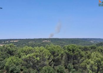 Controlado el incendio forestal de Budia tras la rápida intervención de 46 efectivos