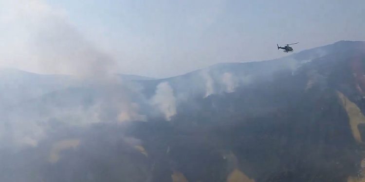 El incendio de La Mierla baja a nivel 1: autorizan el regreso a Monasterio y otros cinco pueblos El incendio de La Mierla baja a nivel 1: autorizan el regreso a Monasterio y otros cinco pueblos