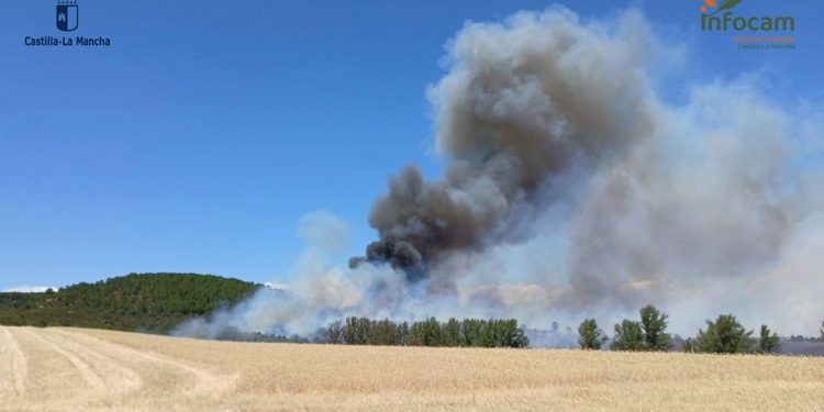 El incendio de La Mierla sigue en Nivel 2: la UME y maquinaria pesada actúan tras una noche de trabajos intensivos 1 El incendio de La Mierla sigue en Nivel 2 la UME y maquinaria pesada actúan tras una noche de trabajos intensivos
