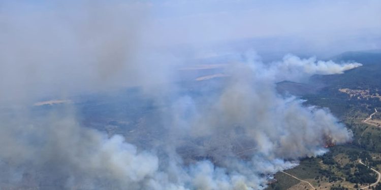 El incendio de La Mierla sigue en nivel 2 con 395 personas desplegadas y el foco puesto en Los Condemios El incendio de La Mierla sigue en nivel 2 con 395 personas desplegadas y el foco puesto en Los Condemios