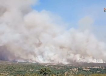 El incendio de La Mierla supera los 100 kilómetros de perímetro en Guadalajara y avanza hacia Atienza