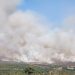 El incendio de La Mierla supera los 100 kilómetros de perímetro en Guadalajara y avanza hacia Atienza