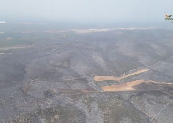 El incendio de Selas calcina 2.600 hectáreas: seis pueblos de Guadalajara continúan evacuados
