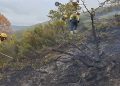 El incendio del pasado mes de junio en Huete, zona gravemente afectada por protección civil