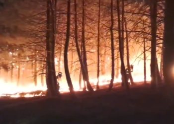 El operativo contra el incendio de La Mierla supera los 670 efectivos tras una noche de fuego técnico