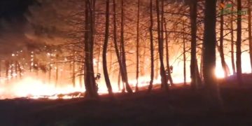 El operativo contra el incendio de La Mierla supera los 670 efectivos tras una noche de fuego técnico