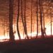 El operativo contra el incendio de La Mierla supera los 670 efectivos tras una noche de fuego técnico El operativo contra el incendio de La Mierla supera los 670 efectivos tras una noche de fuego técnico
