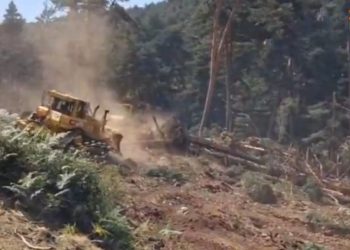 Ordenado el levantamiento de confinamientos por el incendio de La Mierla y la totalidad de los afectados pueden regresar a sus hogares