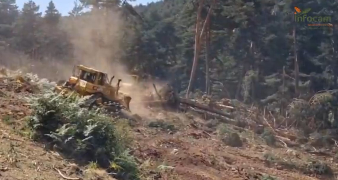 El operativo de La Mierla frena las llamas en Los Condemios y logra la fase de estabilización: se han quemado más de 30.000 hectáreas 1 El operativo de La Mierla frena las llamas en Los Condemios y logra la fase de estabilización se han quemado más de 30.000 hectáreas