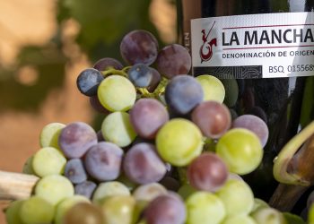 Envero y recta final para el comienzo de la vendimia 2026 en los viñedos DO La Mancha