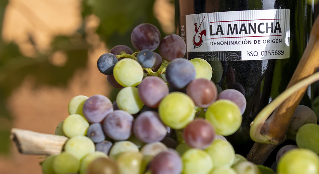 Envero y recta final para el comienzo de la vendimia 2026 en los viñedos DO La Mancha 1 Envero y recta final para el comienzo de la vendimia 2026 en los viñedos DO La Mancha