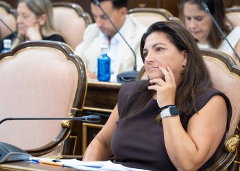 Estos son los 18 referentes de Guadalajara que recibirán las medallas del Día de la Provincia en Sigüenza