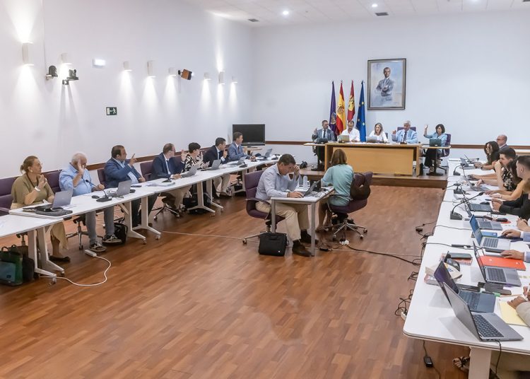 Guadalajara blinda sus espacios públicos y aprueba la construcción de 839 viviendas en la estación del AVE