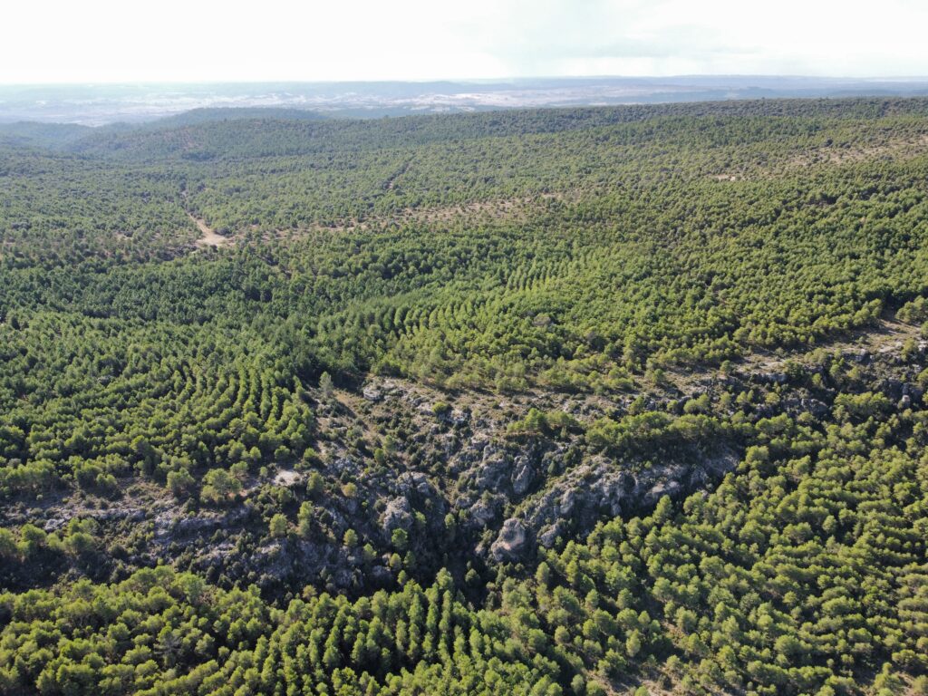 Imagen Terrenos Parque Toroverde Cuenca