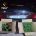 Interceptan 133 plantas de marihuana en la A-3 a su paso por Huete tras dar el alto a un coche sin ITV Interceptan 133 plantas de marihuana en la A-3 a su paso por Huete tras dar el alto a un coche sin ITV