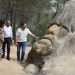 La Ruta de las Caras de Buendía ordena sus accesos con un nuevo aparcamiento