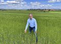 El Gobierno de Castilla-La Mancha ha abonado 29,1 millones de euros a los productores de cultivos herbáceos de la provincia de Cuenca en el último ejercicio de la Política Agraria Común (PAC). El delegado provincial de Agricultura, Ganadería y Desarrollo Rural, Rodrigo Fernández, ha confirmado estas cifras durante una visita a diversas explotaciones cerealistas que encaran la recta final de la siega. La campaña actual ha resultado especialmente exigente, ya que ha registrado un descenso de la producción cercano al 25 por ciento en comparación con el año anterior. Reparto de los fondos Estas ayudas europeas, articuladas a través de los ecorregímenes y cuyo pago completó la Consejería en el mes de junio, buscan mejorar la rentabilidad de las explotaciones de los agricultores conquenses. El importe total reconoce de forma directa la aplicación de prácticas agrícolas que protegen el suelo y fomentan un modelo de trabajo más sostenible. La distribución de este bloque de apoyo económico se divide en tres líneas de actuación: 14,6 millones de euros destinados a la rotación de cultivos con especies mejorantes 11,7 millones de euros para la creación de espacios de biodiversidad en las fincas 2,7 millones de euros asignados a la práctica de la siembra directa Prevención de incendios Fernández ha aprovechado su recorrido por las explotaciones de la provincia para agradecer al sector su compromiso con el mantenimiento de la actividad en los municipios. Además, ha destacado la responsabilidad de los profesionales del campo al acatar las restricciones vigentes por el alto riesgo de incendios forestales. Estas limitaciones de seguridad condicionan el ritmo de trabajo habitual en las semanas de cosecha, pero resultan indispensables para evitar emergencias en el medio natural de la provincia. Evolución del campo conquense El archivo histórico de Liberal de Castilla refleja cómo las campañas de cultivos herbáceos en Cuenca llevan años enfrentándose a fuertes oscilaciones en sus rendimientos debido a la inestabilidad meteorológica. La última reforma de la PAC introdujo la figura de los ecorregímenes como un mecanismo indispensable para sostener la viabilidad de las fincas, exigiendo a cambio un mayor compromiso medioambiental. La consolidación de estos 29 millones en ayudas confirma que los agricultores locales han logrado adaptar sus métodos tradicionales a las estrictas normativas europeas, logrando un respaldo económico que amortigua las caídas de producción en años difíciles.