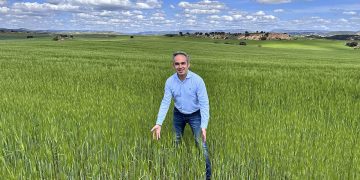 Los agricultores de Cuenca reciben 29 millones de la PAC tras una caída del 25% en la cosecha