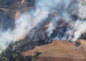 Los medios terrestres asumen la extinción nocturna del incendio forestal de arbolado en Malaguilla