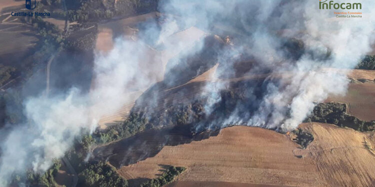 Los medios terrestres asumen la extinción nocturna del incendio forestal de arbolado en Malaguilla