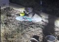 Multa de hasta 50.000 euros al dueño del perro abandonado de madrugada en el Albergue Provincial de Cuenca
