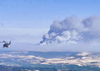 El fuego de La Mierla y Selas golpea el corazón gastronómico de la Sierra Norte de Guadalajara