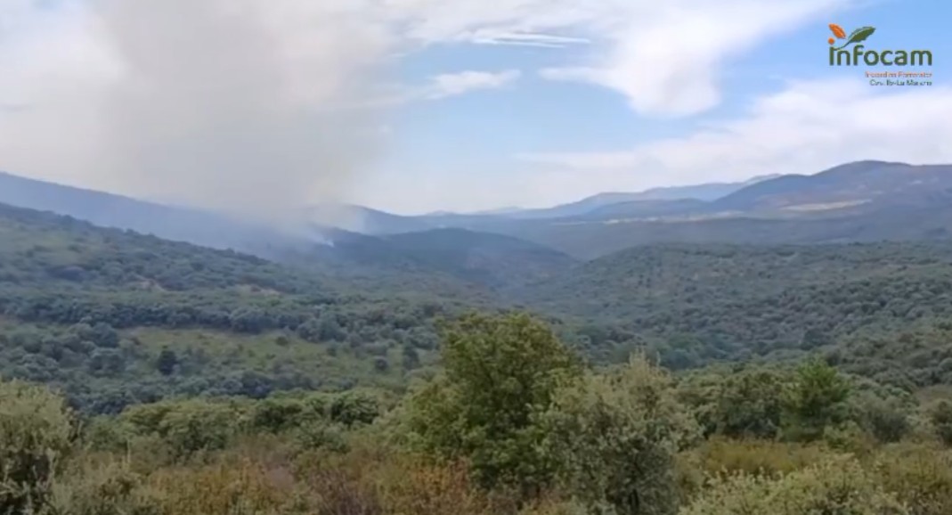 El incendio de La Mierla supera las 26.000 hectáreas con tres nuevos municipios evacuados en Guadalajara 1 Page confirma que el incendio de La Mierla superará las 26.000 hectáreas en Guadalajara que deja 1.200 evacuados