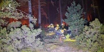 Palancares, Almiruete, La Mierla y Muriel ya pueden volver a casa tras el incendio forestal de La Mierla